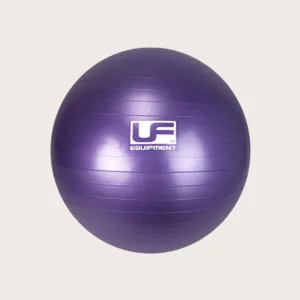 Gym ball | purple