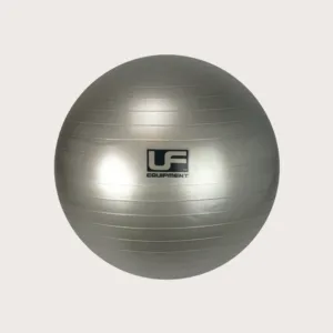 Gym ball | silver